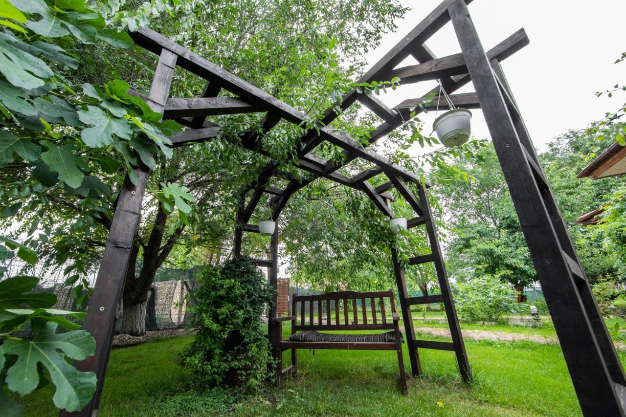 Casa Arcadia Buzau Monteoru Villa Exterior foto